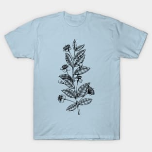 Small Flowers on stem with seed pods T-Shirt